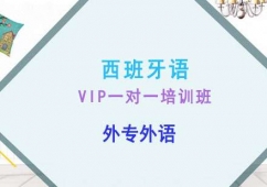 成都西班牙語VIP一對一培訓班