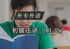 ɶZA1.2ƷӖ