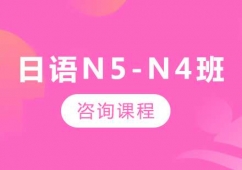 VZN5-N4nӖ