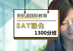 SAT1300֏Ӗ