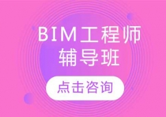 ̫ԭBIM̎Ӗo