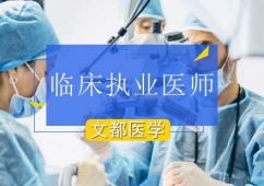 北京臨床執業醫師培訓班