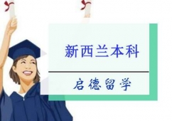 mW(xu)Ո