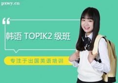 nZTOPIK2Ӗ