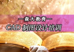 ICADƈDOӋIӖ