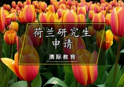 天津荷蘭研究生留學申請