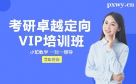 Lɳ׿ԽVIPȫӖ