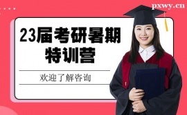 麣23ÿӖI