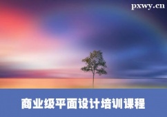 保定商業級平面設計培訓課程