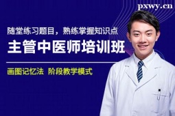 邢臺(tái)主管中醫(yī)師培訓(xùn)班