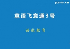 廣州意語飛意通3號