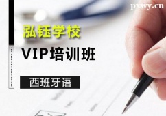 VZVIPӖ
