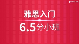 ˼T6.5ӖСࣨ10˰ࣩ