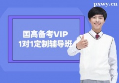 ݇߂俼VIP11o(do)